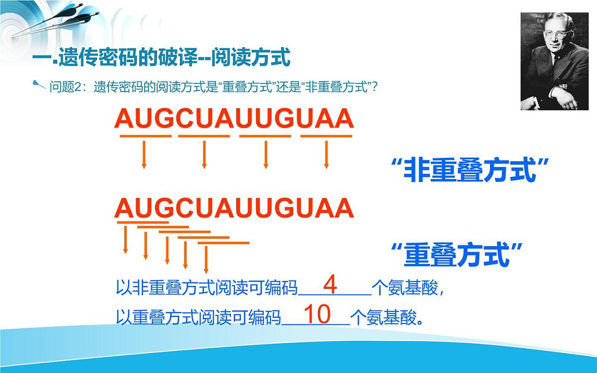 人教版 (新课标)高中生物必修2 4-3《遗传密码的破译（选学）》课件第5页
