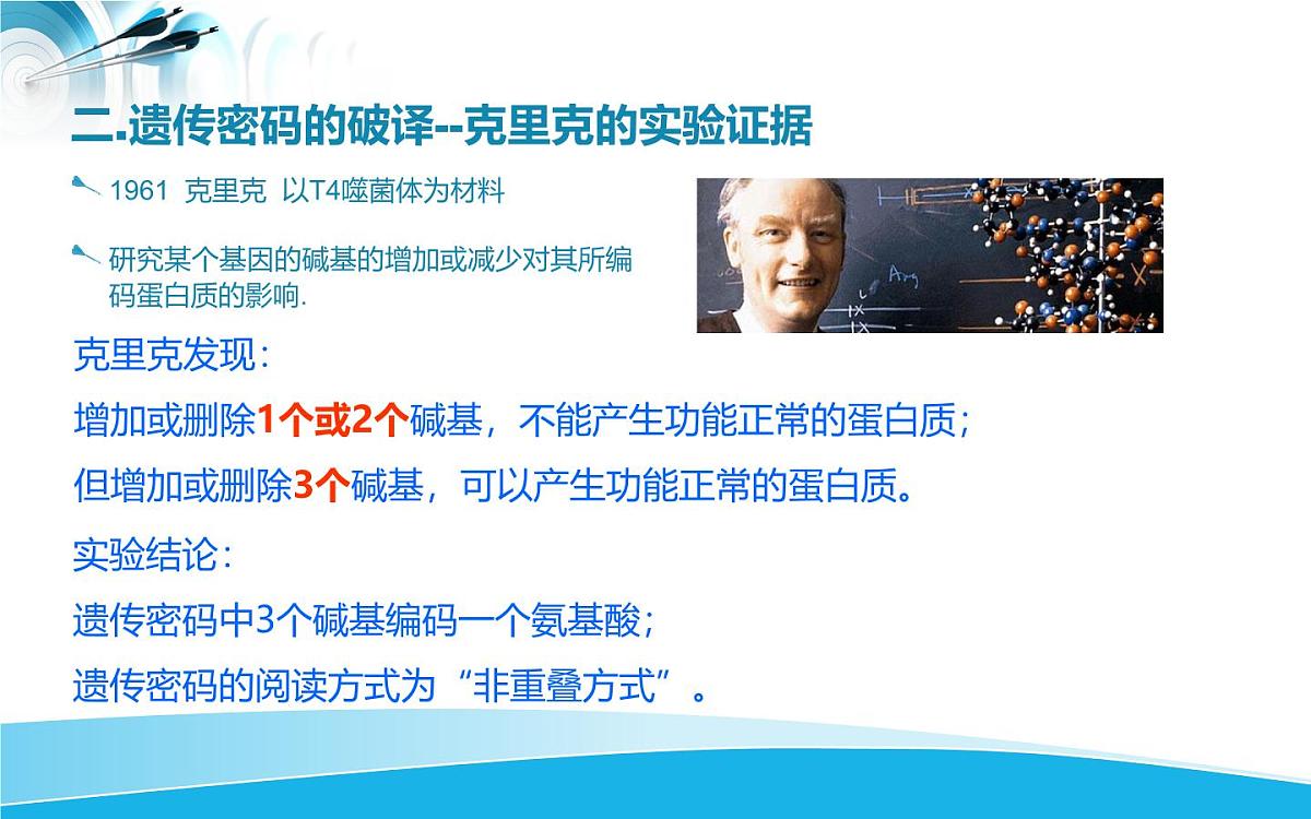 人教版 (新课标)高中生物必修2 4-3《遗传密码的破译（选学）》课件第6页