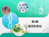 人教版 (新課標(biāo))高中生物必修2 第四章《基因的表達(dá)》復(fù)習(xí)課件