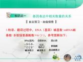 人教版 (新課標(biāo))高中生物必修2 第四章《基因的表達(dá)》復(fù)習(xí)課件
