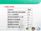 人教版 (新課標(biāo))高中生物必修2 第四章《基因的表達(dá)》復(fù)習(xí)課件