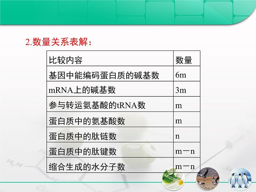 人教版 (新课标)高中生物必修2 第四章《基因的表达》复习课件第3页