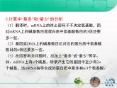 人教版 (新課標(biāo))高中生物必修2 第四章《基因的表達(dá)》復(fù)習(xí)課件
