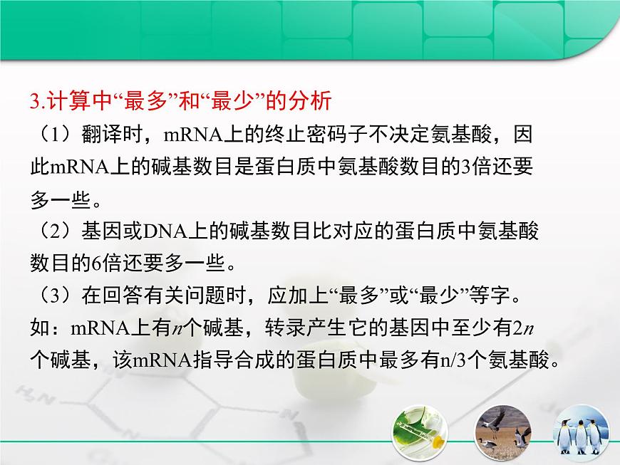 人教版 (新课标)高中生物必修2 第四章《基因的表达》复习课件第4页