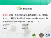 人教版 (新課標(biāo))高中生物必修2 第四章《基因的表達(dá)》復(fù)習(xí)課件