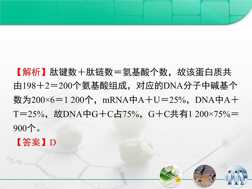 人教版 (新课标)高中生物必修2 第四章《基因的表达》复习课件第6页