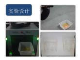 人教版 (新課標(biāo))高中生物必修2 5-1《基因突變和基因重組（第1課時(shí)）》課件