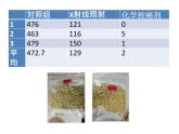 人教版 (新課標(biāo))高中生物必修2 5-1《基因突變和基因重組（第1課時(shí)）》課件