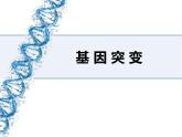人教版 (新課標(biāo))高中生物必修2 5-1《基因突變和基因重組（第1課時(shí)）》課件