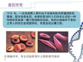 人教版 (新課標(biāo))高中生物必修2 5-1《基因突變和基因重組（第1課時(shí)）》課件