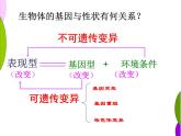人教版 (新課標(biāo))高中生物必修2 5-1《基因突變和基因重組》課件