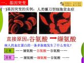 人教版 (新課標(biāo))高中生物必修2 5-1《基因突變和基因重組》課件