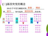 人教版 (新課標(biāo))高中生物必修2 5-1《基因突變和基因重組》課件