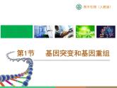 人教版高中生物必修2第五章第1節(jié)《基因突變和基因重組》課件