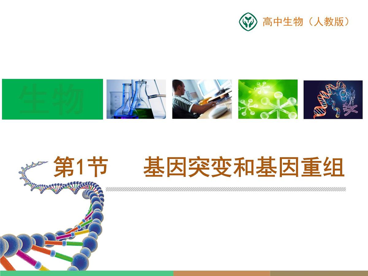 《基因突变和基因重组》课件第1页