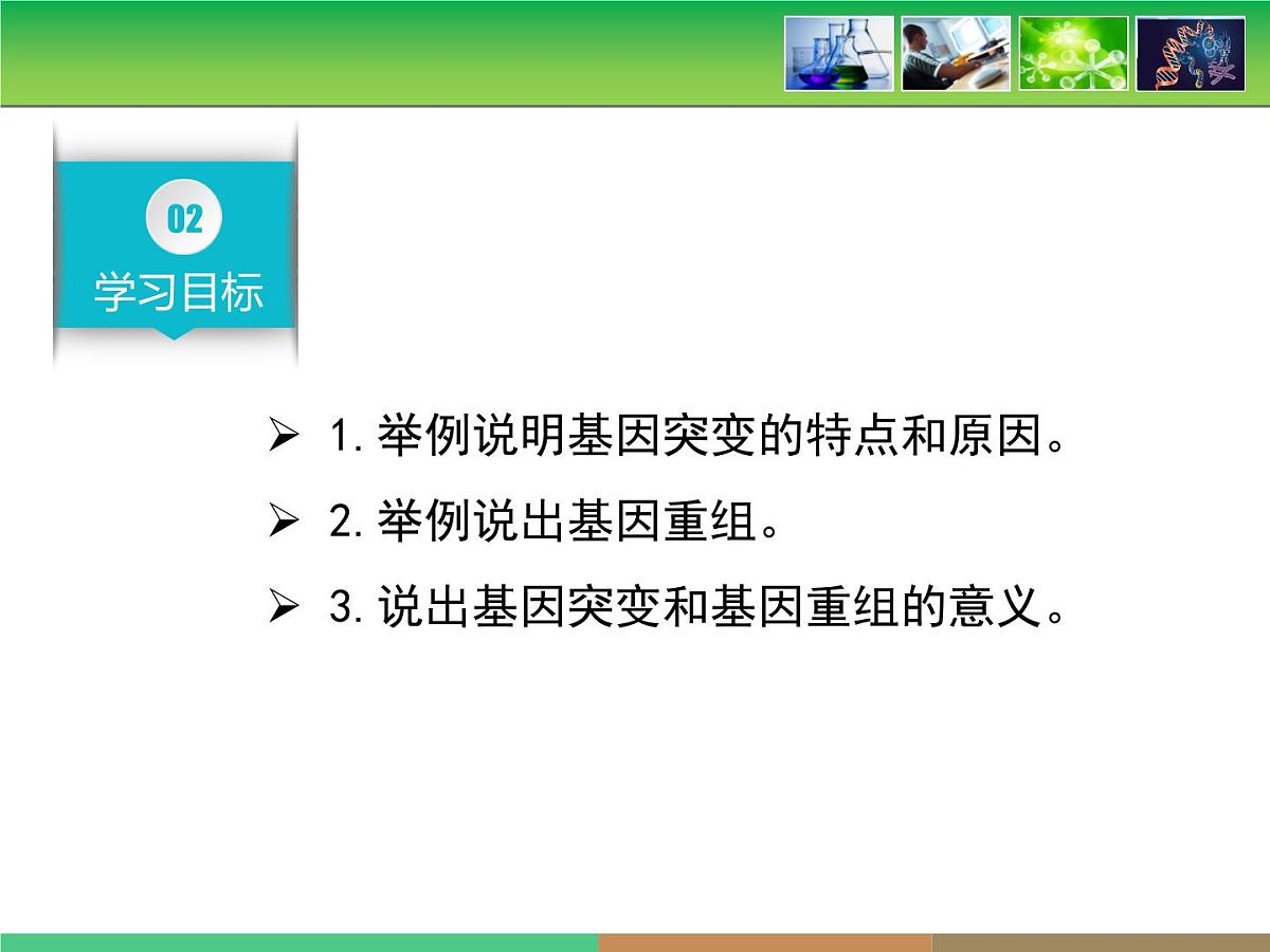 《基因突变和基因重组》课件第5页