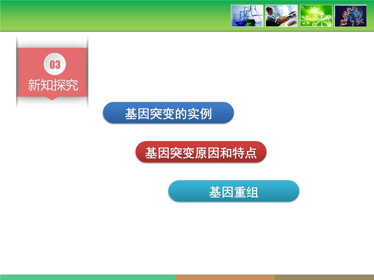 《基因突变和基因重组》课件第6页