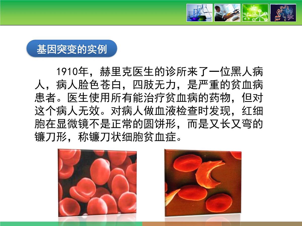 《基因突变和基因重组》课件第7页