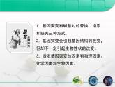 人教版 (新課標(biāo))高中生物必修2 5-1《基因突變和基因重組》復(fù)習(xí)課件
