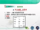 人教版 (新課標(biāo))高中生物必修2 5-1《基因突變和基因重組》復(fù)習(xí)課件