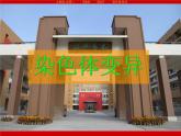 人教版 (新課標(biāo))高中生物必修2 5-2《染色體變異》課件