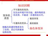 人教版 (新課標(biāo))高中生物必修2 5-2《染色體變異》課件