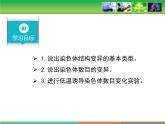 人教版 (新課標(biāo))高中生物必修2 5-2《染色體變異》課件
