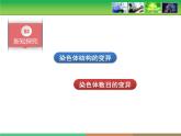人教版 (新課標(biāo))高中生物必修2 5-2《染色體變異》課件