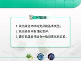 人教版 (新課標(biāo))高中生物必修2 5-2《染色體變異》課件