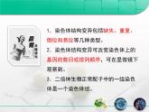 人教版 (新課標(biāo))高中生物必修2 5-2《染色體變異》課件