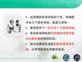 人教版 (新課標(biāo))高中生物必修2 5-2《染色體變異》課件