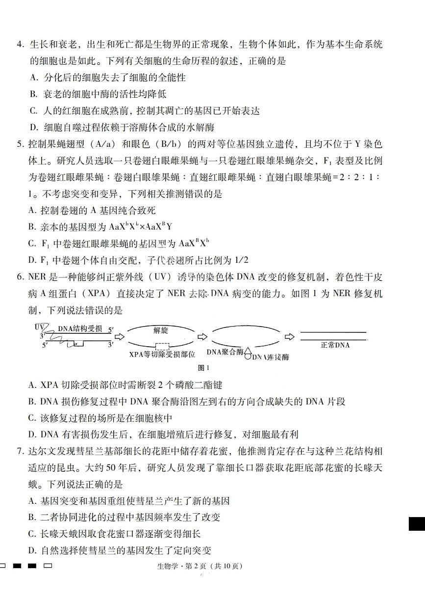 2026届云南三校高考备考实用性联考卷（一）高二生物试卷第2页