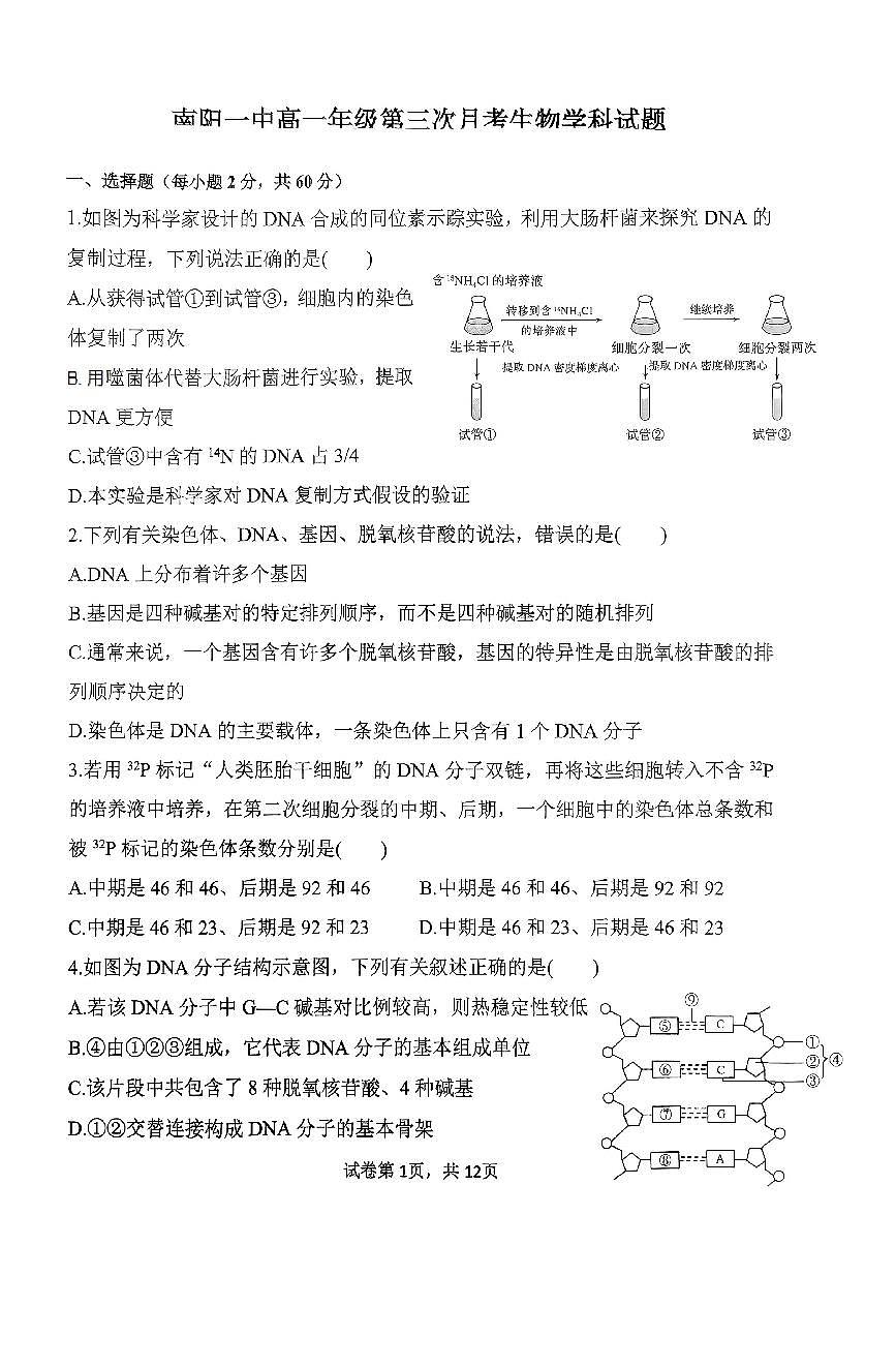河南省南阳市第一中学2024-2025学年高一下学期第三次月考生物试题（PDF版附答案）第1页