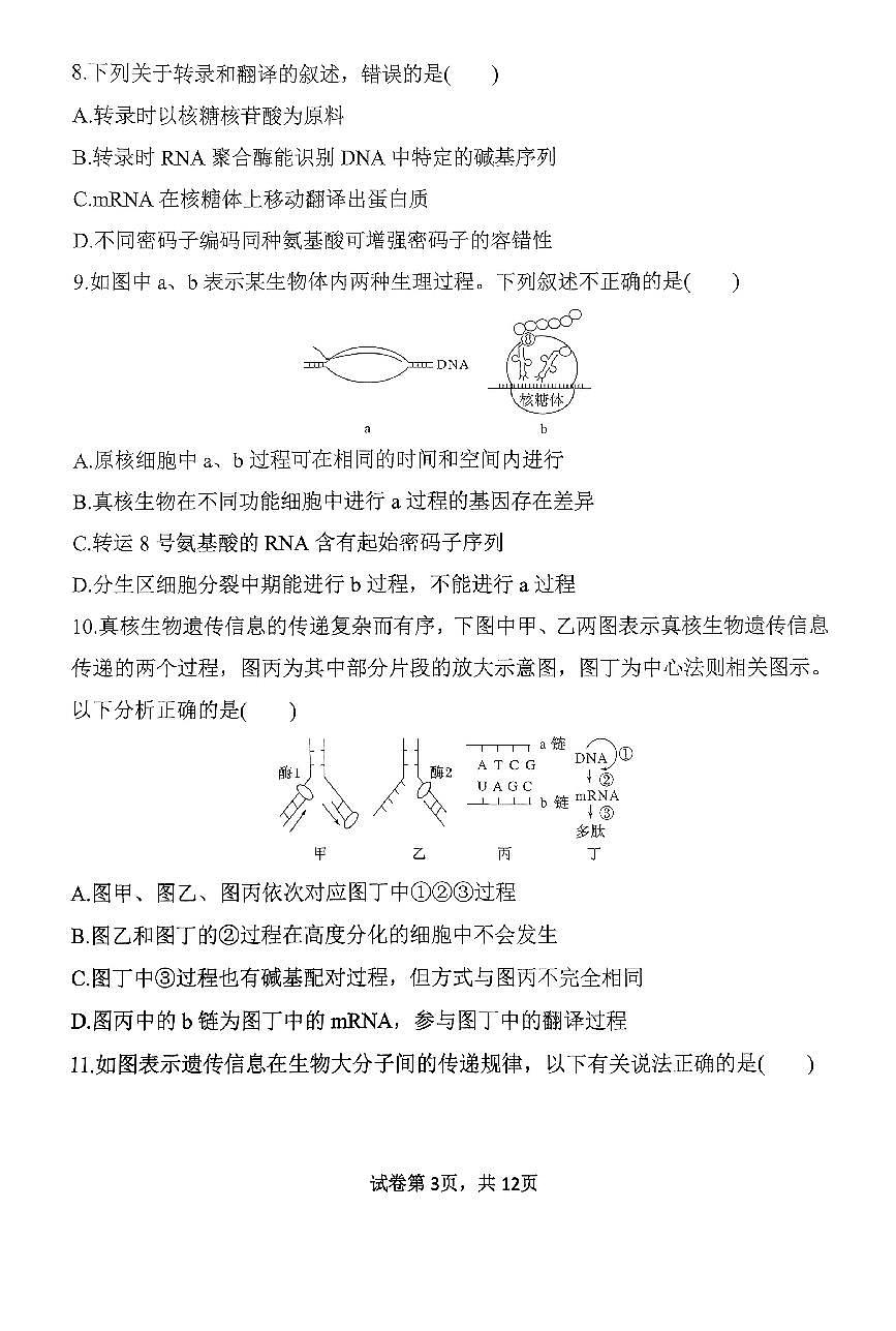 河南省南阳市第一中学2024-2025学年高一下学期第三次月考生物试题（PDF版附答案）第3页