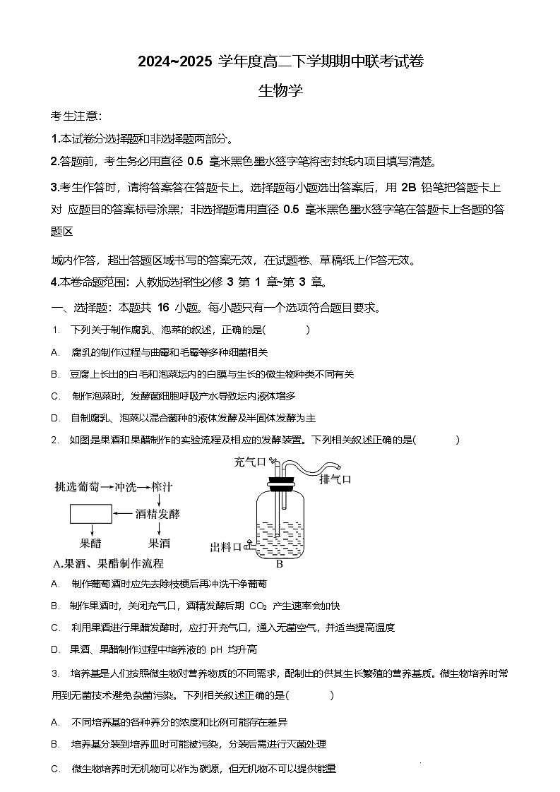 河南省商丘市部分学校2024-2025学年高二下学期4月期中考试生物试题（Word版附答案）第1页
