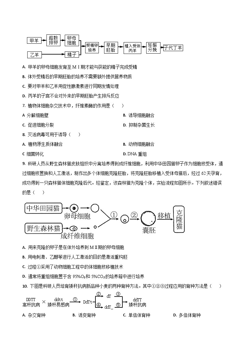 吉林省梅河口市第五中学2024-2025学年高二下学期5月期中考试生物试题（Word版附答案）第2页