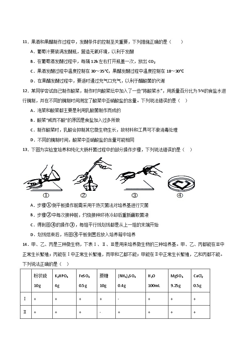 吉林省梅河口市第五中学2024-2025学年高二下学期5月期中考试生物试题（Word版附答案）第3页