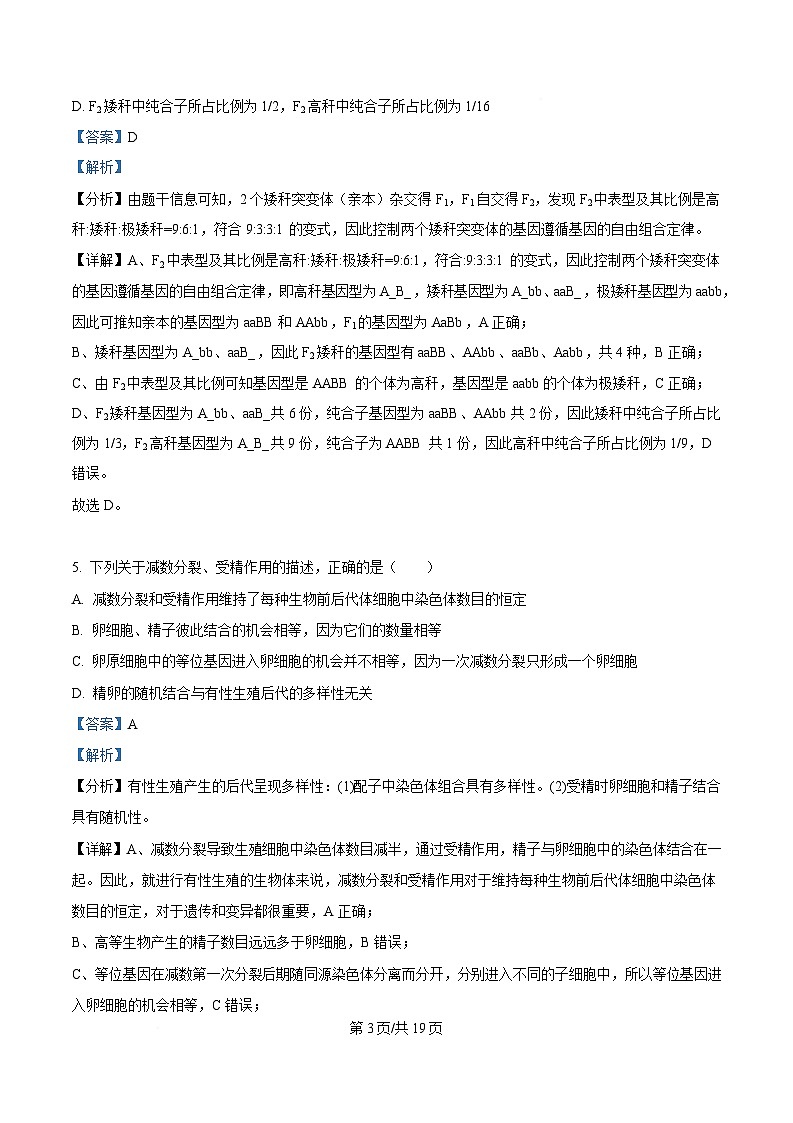 四川省资阳市资阳中学2024-2025学年高一下学期5月月考生物试题 Word版含解析第3页