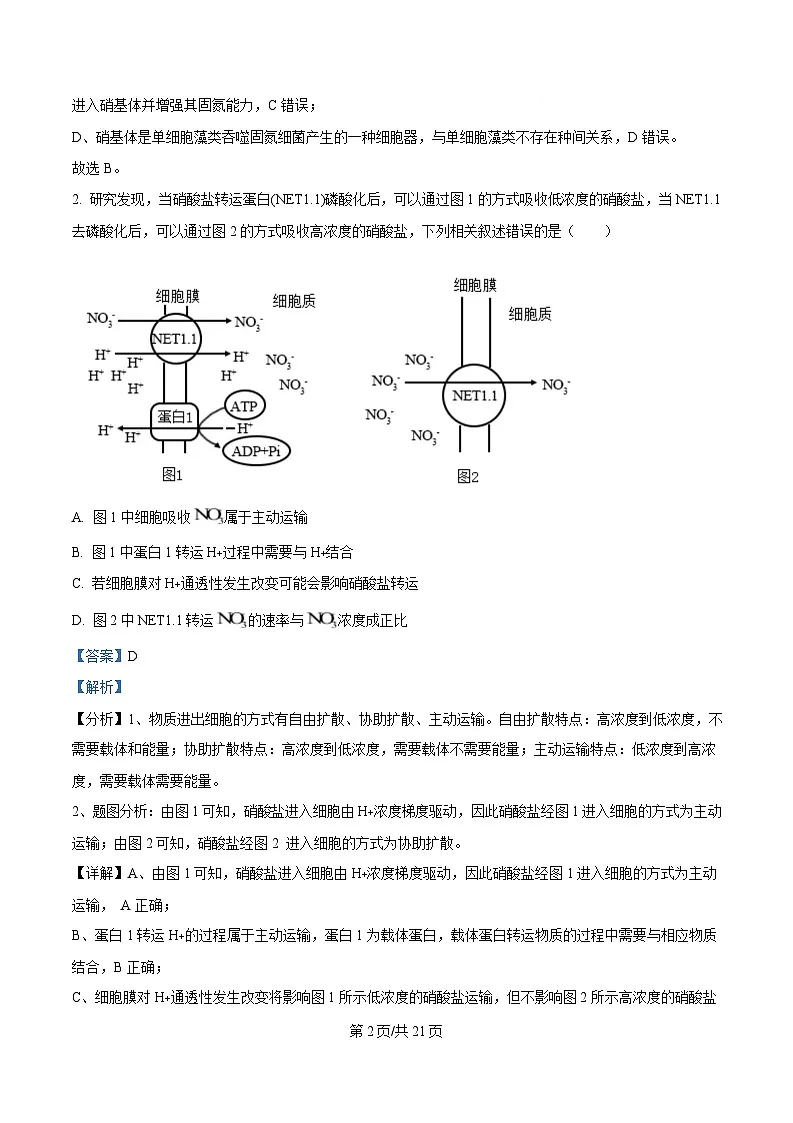 2025届四川省成都石室中学高三适应性考试（一）生物试题 Word版含解析第2页