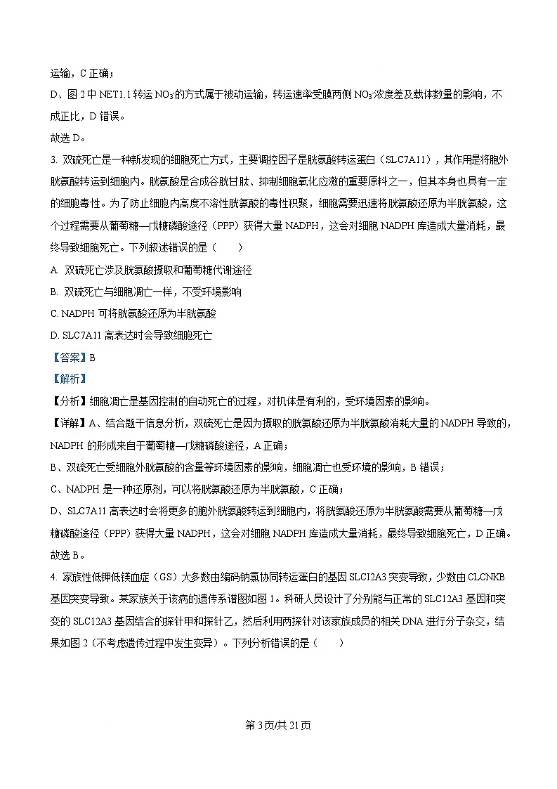 2025届四川省成都石室中学高三适应性考试（一）生物试题 Word版含解析第3页
