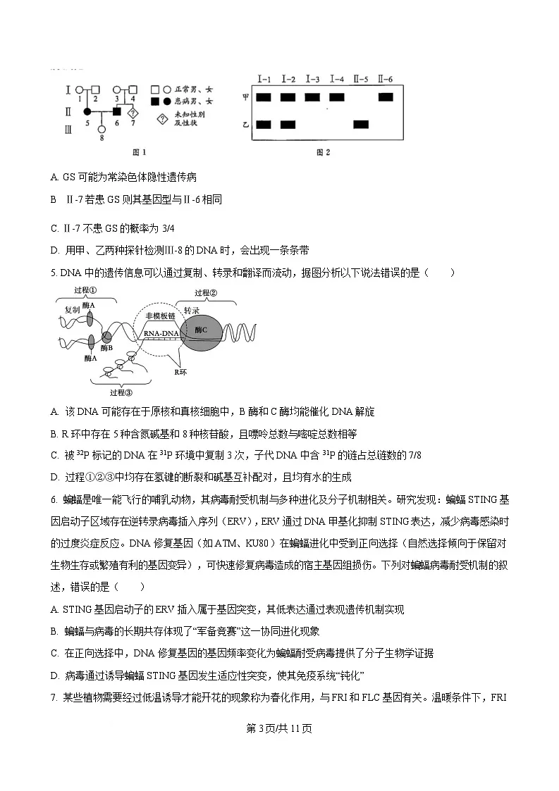 2025届四川省成都石室中学高三适应性考试（一）生物试题（原卷版）第3页