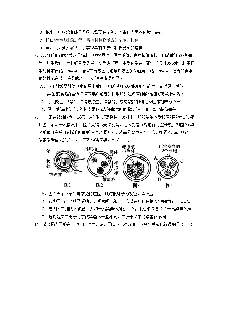 四川省凉山州民族中学2024-2025学年高二下学期5月月考生物试题第3页