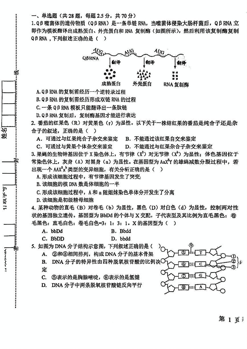 天津市经济技术开发区一中2024-2025学年高一下学期第二次月考生物试卷第1页