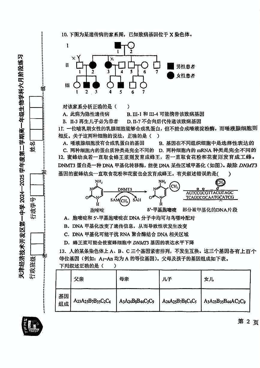天津市经济技术开发区一中2024-2025学年高一下学期第二次月考生物试卷第3页