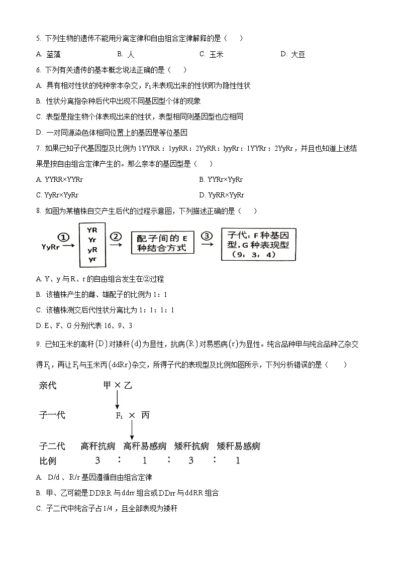 云南省红河哈尼族彝族自治州蒙自市第一高级中学2024-2025学年高一下学期5月月考生物试题第2页