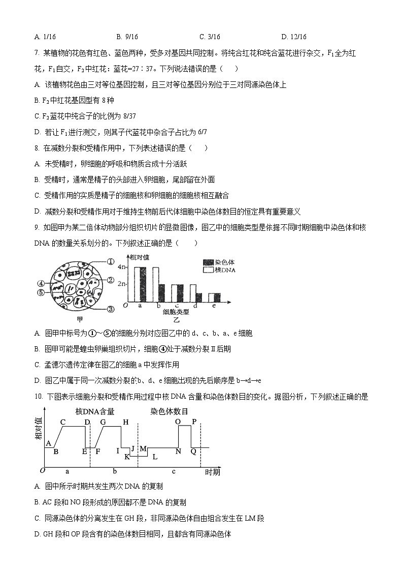 吉林省长春市东北师范大学附属中学2024-2025学年高一下学期期中考试生物试题（原卷版）第2页