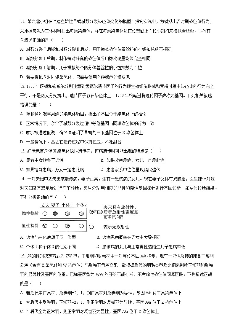吉林省长春市东北师范大学附属中学2024-2025学年高一下学期期中考试生物试题（原卷版）第3页
