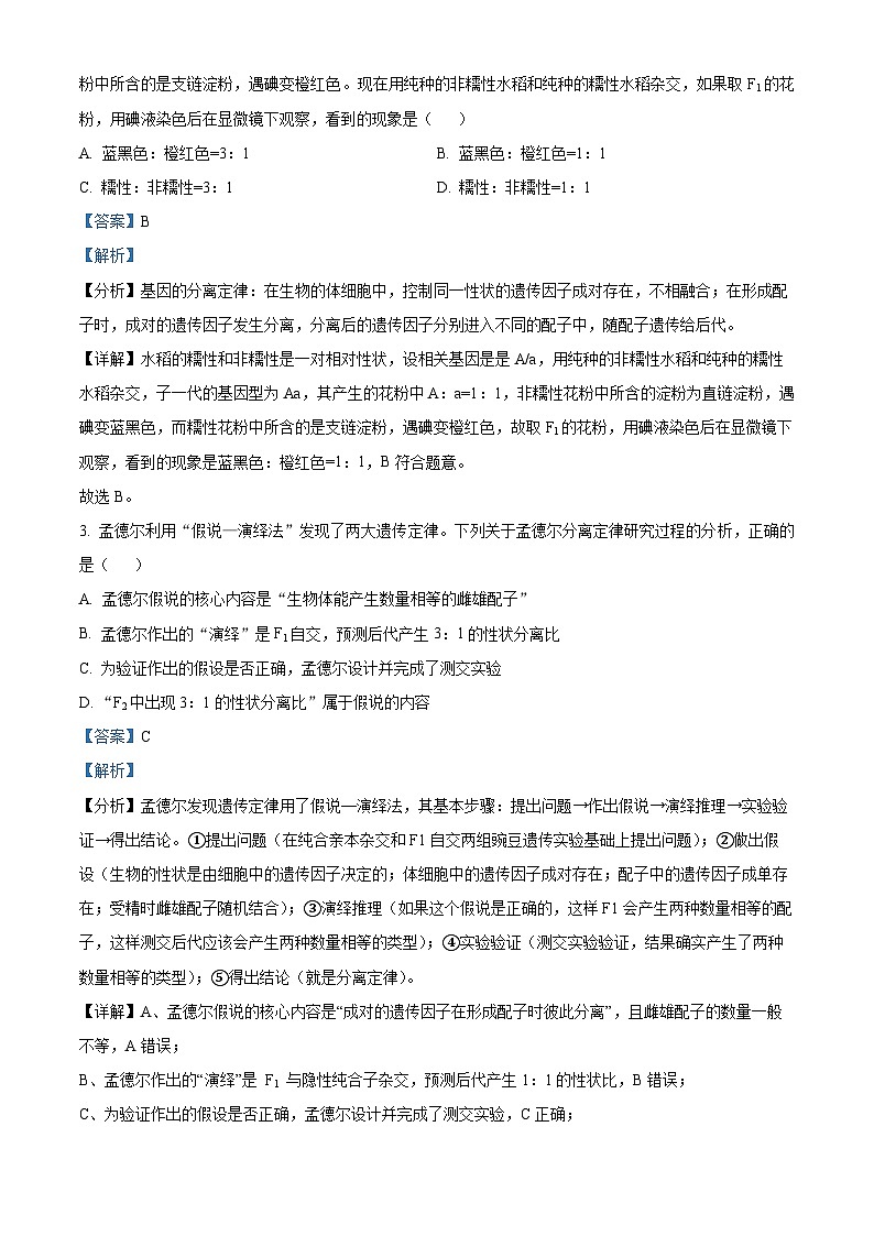 吉林省长春市东北师范大学附属中学2024-2025学年高一下学期期中考试生物试题（解析版）第2页