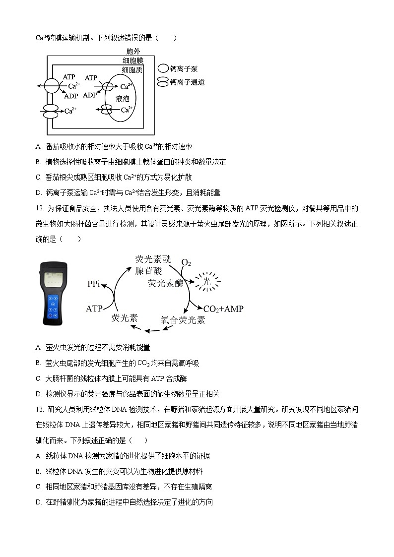 浙江省五校联盟2024-2025学年高一下学期5月教学质量检测生物试题第3页
