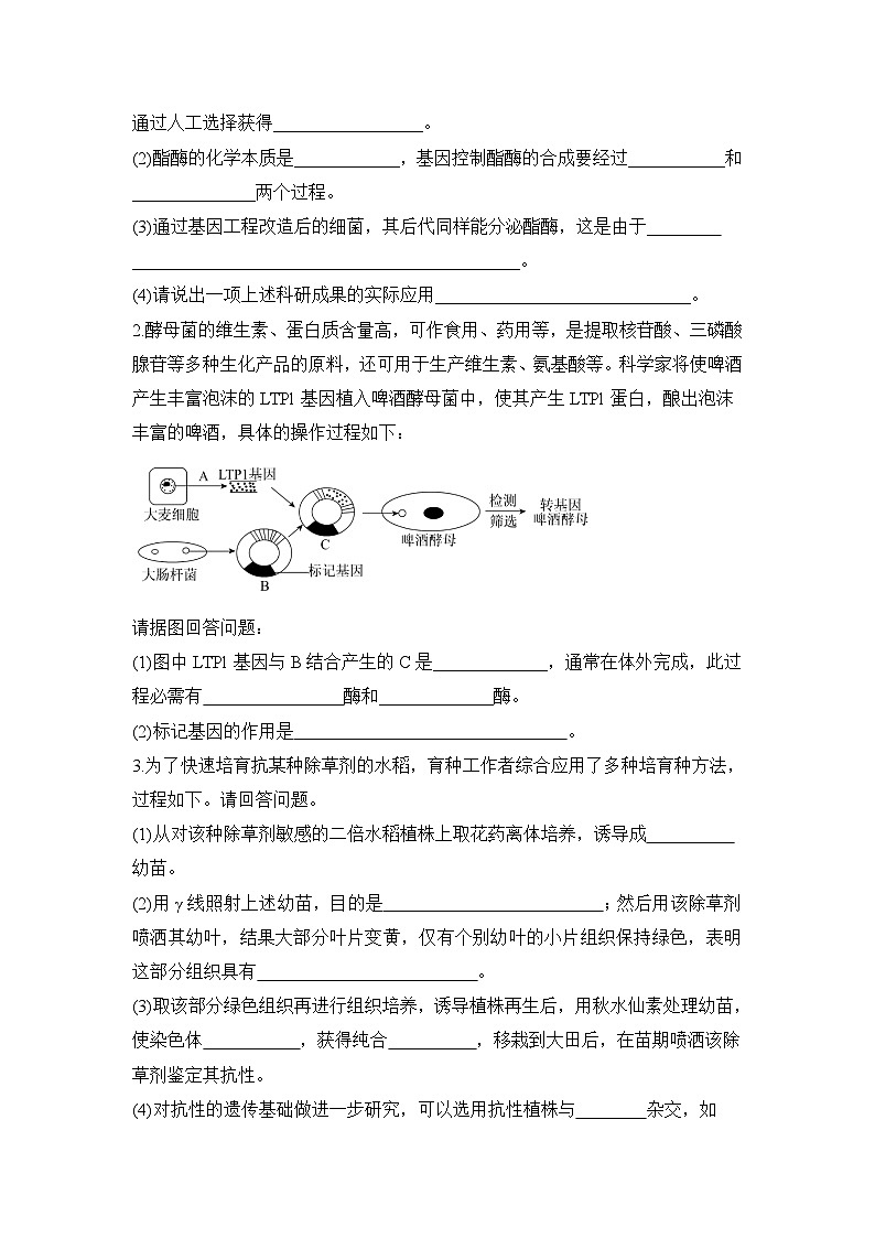 人教版 (新课标)高中生物必修2 第六章《从杂交育种到基因工程》通关套卷（二）无答案第3页
